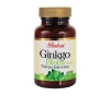 Bs Balen Ginkgo Biloba Tablet 600 MG*60