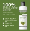 Bs Dermaderm Saç Dökülmesine Karşı Doğal Defne Yağı Şampuanı 250ml