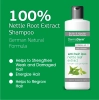Bs Dermaderm Saç Dökülmesine Karşı Doğal Isırgan Özlü Şampuan 250ml
