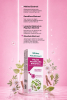 HOLİSTRAKT - Melisa, Passiflora ve Rhodiola İçeren Sıvı Ekstrat 250 ML